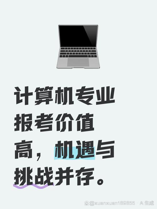 高校计算机专业报考价值分析:机遇与挑战并存  在当前就业市场中,高校